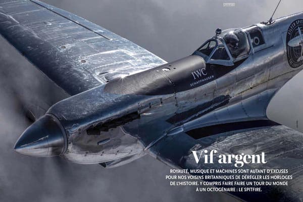 Spitfire : un oiseau dans le ciel